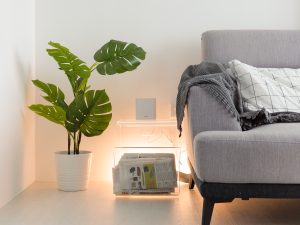 singapore minimalist style living
