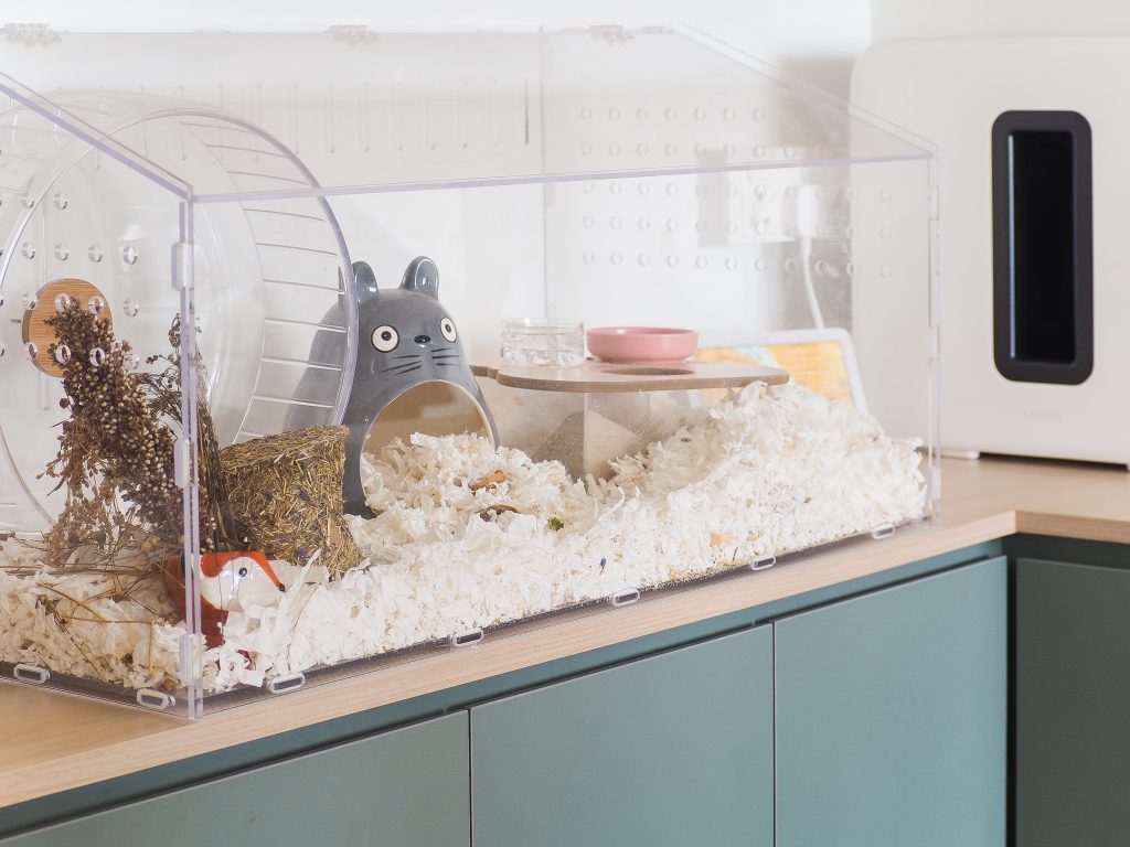 hamster home singapore